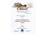 Horváth Ramóna - Szavalóverseny - Oklevél
